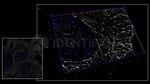 Human, IgG (H+L) SRM Secondary Antibody in Immunocytochemistry (ICC/IF)