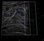 Human, IgG (H+L) SRM Secondary Antibody in Immunocytochemistry (ICC/IF)