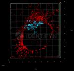 Rabbit IgG, (H+L) SRM Secondary Antibody in Immunocytochemistry (ICC/IF)
