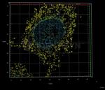 Mouse IgG, (H+L) SRM Secondary Antibody in Immunocytochemistry (ICC/IF)