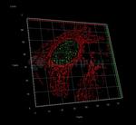 Human IgG, (H+L) SRM Secondary Antibody in Immunocytochemistry (ICC/IF)