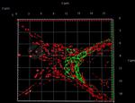 Rabbit IgG, (H+L) SRM Secondary Antibody in Immunocytochemistry (ICC/IF)
