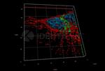 Rabbit IgG, (H+L) SRM Secondary Antibody in Immunocytochemistry (ICC/IF)