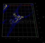 Rabbit IgG, (H+L) SRM Secondary Antibody in Immunocytochemistry (ICC/IF)