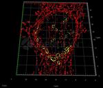 Rabbit IgG, (H+L) SRM Secondary Antibody in Immunocytochemistry (ICC/IF)