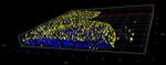 Mouse IgG, (H+L) SRM Secondary Antibody in Immunocytochemistry (ICC/IF)