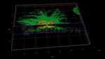 Human, IgG (H+L) SRM Secondary Antibody in Immunocytochemistry (ICC/IF)
