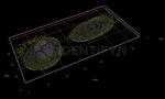 Mouse IgG, (H+L) SRM Secondary Antibody in Immunocytochemistry (ICC/IF)