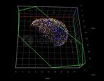 Mouse IgG, (H+L) SRM Secondary Antibody in Immunocytochemistry (ICC/IF)