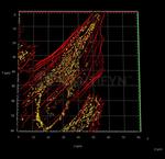 Mouse IgG, (H+L) SRM Secondary Antibody in Immunocytochemistry (ICC/IF)