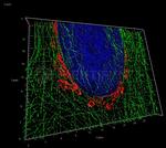 Rabbit IgG, (H+L) SRM Secondary Antibody in Immunocytochemistry (ICC/IF)