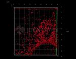 Rabbit IgG, (H+L) SRM Secondary Antibody in Immunocytochemistry (ICC/IF)