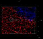 Rabbit IgG, (H+L) SRM Secondary Antibody in Immunocytochemistry (ICC/IF)