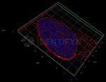 Mouse, IgG (H+L), (Subclasses 1+2a+2b+3), Fcy Fragment Specific SRM Secondary Antibody in Immunocytochemistry (ICC/IF)