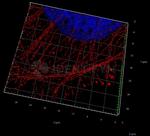 Rabbit IgG, (H+L) SRM Secondary Antibody in Immunocytochemistry (ICC/IF)