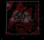 Mouse, IgG (H+L) SRM Secondary Antibody in Immunocytochemistry (ICC/IF)