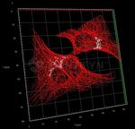 Mouse IgG, (H+L) SRM Secondary Antibody in Immunocytochemistry (ICC/IF)