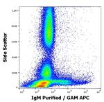 Mouse anti-Human IgM Fc Secondary Antibody