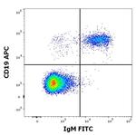 Human IgM Fc Secondary Antibody in Flow Cytometry (Flow)