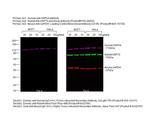 Human IgG (H+L) Cross-Adsorbed Secondary Antibody in Western Blot (WB)
