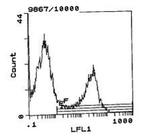 Mouse anti-Rat Kappa Light Chain Secondary Antibody, Biotin