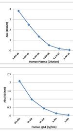 Human IgA1 Secondary Antibody in ELISA (ELISA)