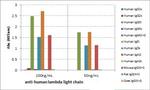 Human Lambda Light Chain Secondary Antibody in ELISA (ELISA)
