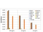 Mouse IgG2a Secondary Antibody in ELISA (ELISA)