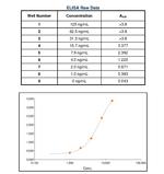 Human IgE Secondary Antibody in ELISA (ELISA)