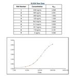 Mouse IgG Fc Secondary Antibody in ELISA (ELISA)