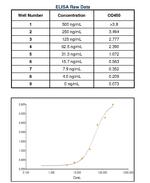 Rat IgM Secondary Antibody in ELISA (ELISA)
