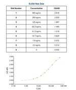Rabbit anti-Human IgG (H+L) Secondary Antibody