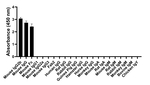 Mouse IgG2b Secondary Antibody