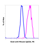 Goat anti-Mouse IgG2b Recombinant Secondary Antibody, PE