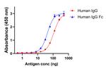 Human IgG Fc Secondary Antibody in ELISA (ELISA)