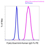 F(ab)-Goat anti-Human IgG Fc Superclonal™ Secondary Antibody, PE