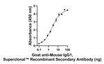 Mouse IgG1 Secondary Antibody