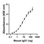 Mouse IgG1 Secondary Antibody in ELISA (ELISA)
