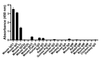 Mouse IgG1 Secondary Antibody
