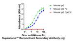 Mouse IgG Fc Secondary Antibody in ELISA (ELISA)