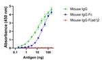 Mouse IgG Fc Secondary Antibody in ELISA (ELISA)