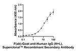 Human IgG (H+L) Secondary Antibody in ELISA (ELISA)