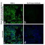 F(ab)-Goat anti-Human IgG (H+L) Superclonal™ Secondary Antibody