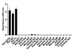 Rat IgG2a Secondary Antibody