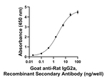 Rat IgG2a Secondary Antibody in ELISA (ELISA)