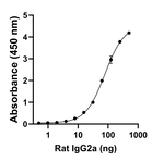 Rat IgG2a Secondary Antibody in ELISA (ELISA)