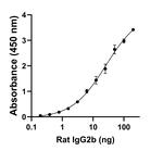 Rat IgG2b Secondary Antibody in ELISA (ELISA)