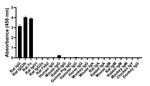 Rat IgG2b Secondary Antibody