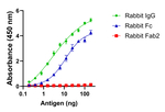 Rabbit IgG Fc Secondary Antibody in ELISA (ELISA)