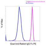 Goat anti-Rabbit IgG Fc Superclonal™ Secondary Antibody, PE